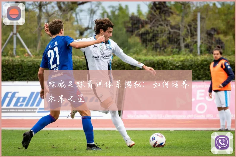 绿城足球青训体系揭秘：如何培养未来之星