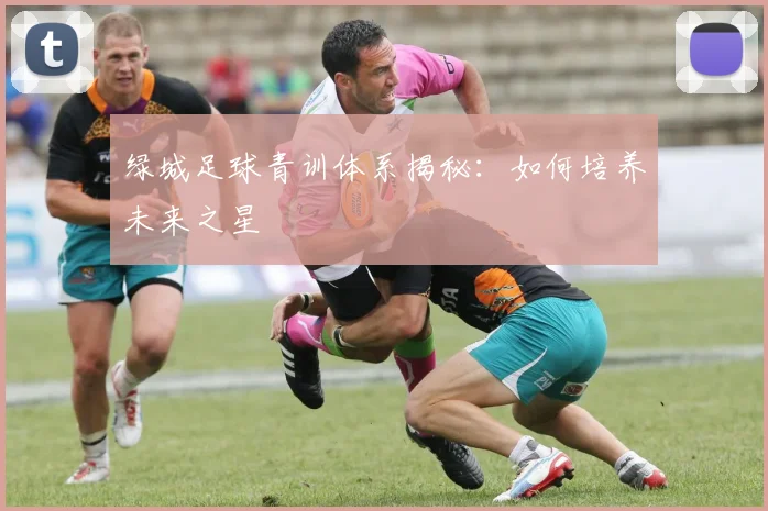 绿城足球青训体系揭秘:如何培养未来之星