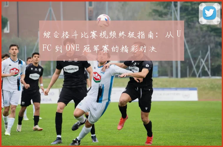 综合格斗比赛视频终极指南：从 UFC 到 ONE 冠军赛的精彩对决